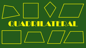 Quadrilateral